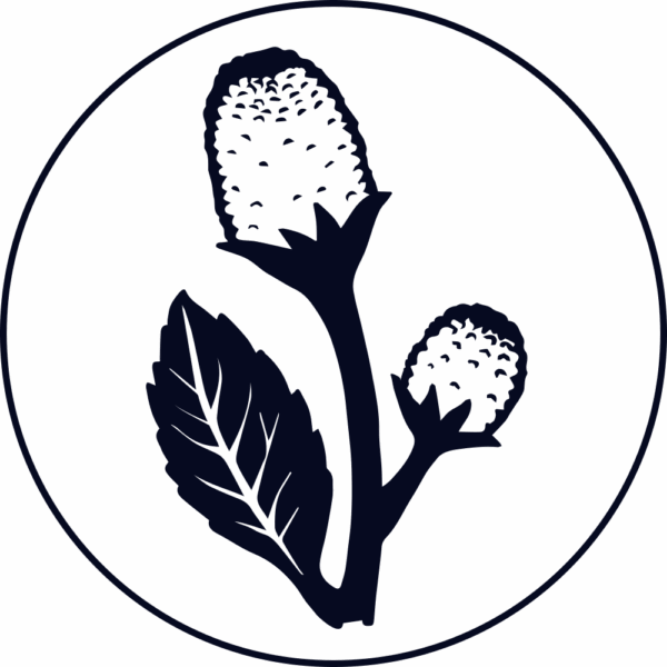 Pjur Icons blanco mit parakresse