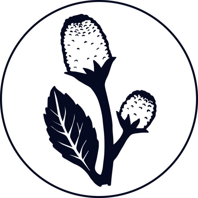 Pjur Icons blanco mit parakresse