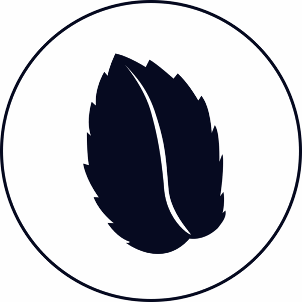 Pjur Icons blanco mit pfefferminze