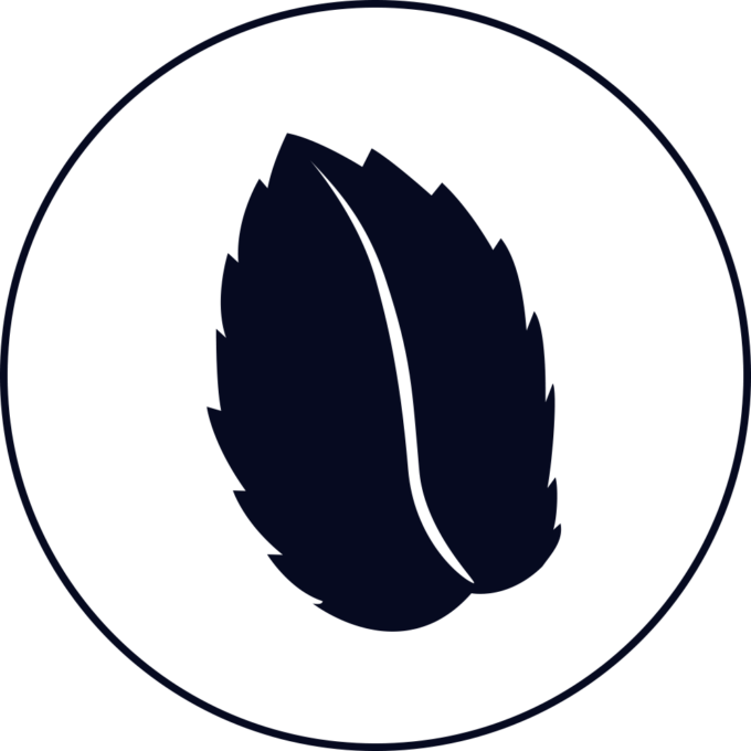 Pjur Icons blanco mit pfefferminze